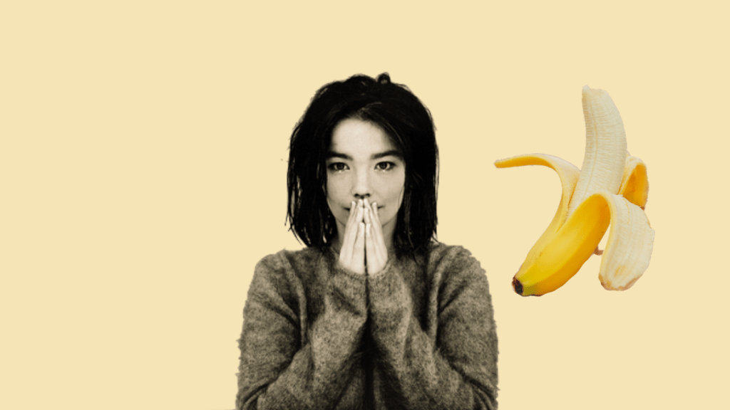 Bjork on Musical&nbsp;Snobbery