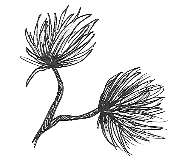 Sunday Night Sadness