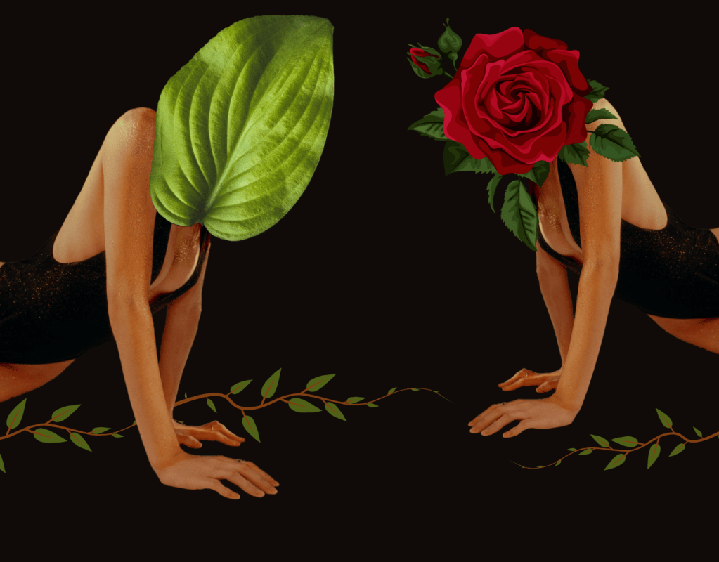 sunday currently #18