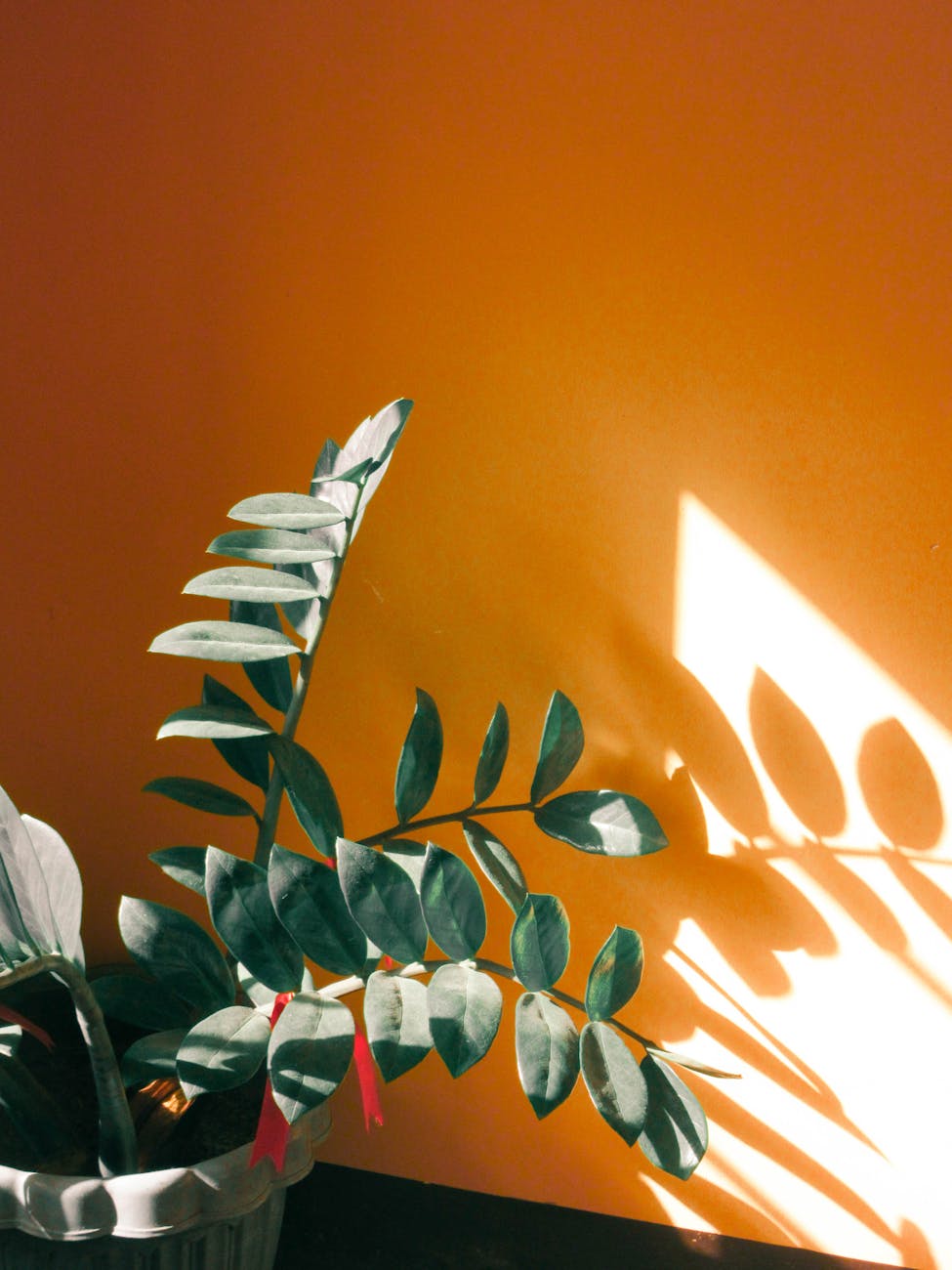 wanna hear about my boring sunday? 