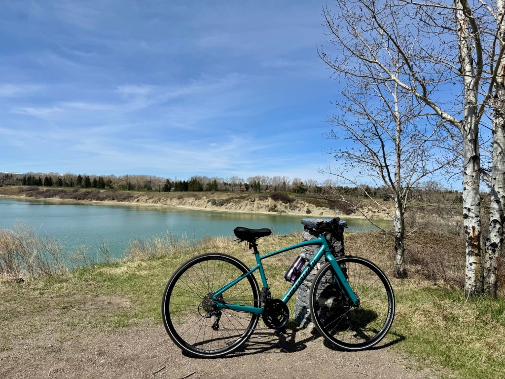 spring is for&nbsp;cavorting